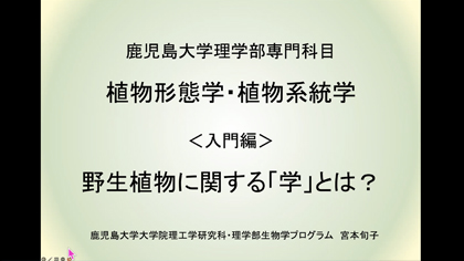 鹿児島大学法理学部　模擬授業　理学科 化学プログラム