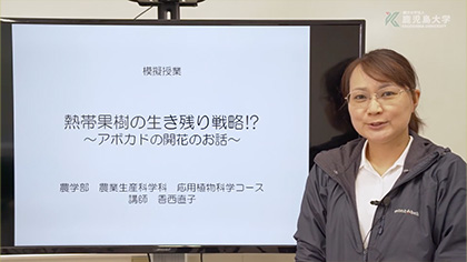 農学部 模擬授業 農学科 応用植物科学 熱帯果樹の生き残り戦略！？