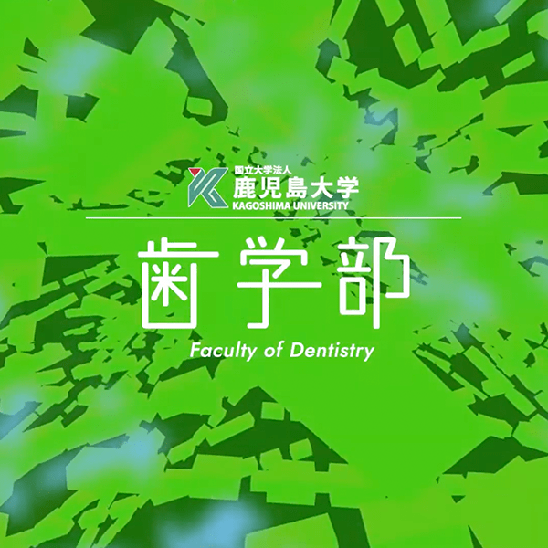 歯学部